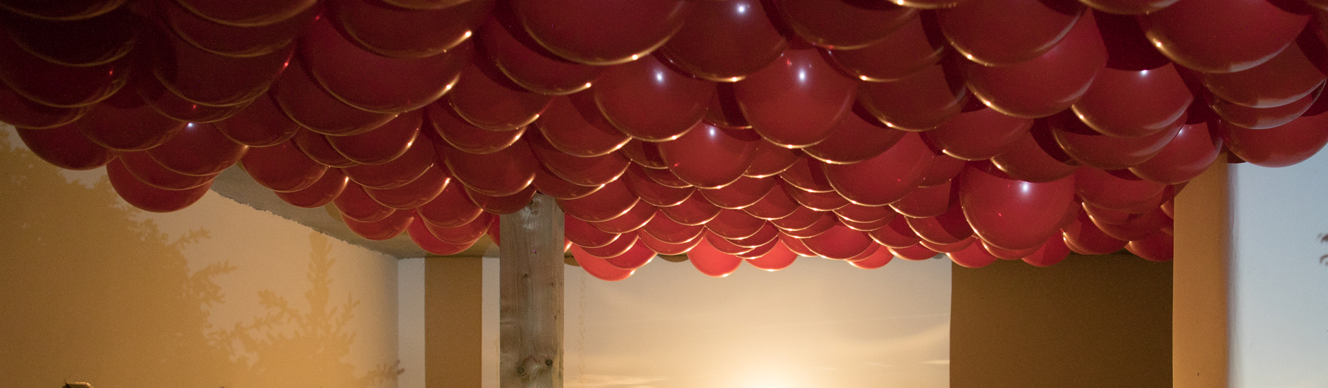 Greskovits András / Fotográfia alapszak