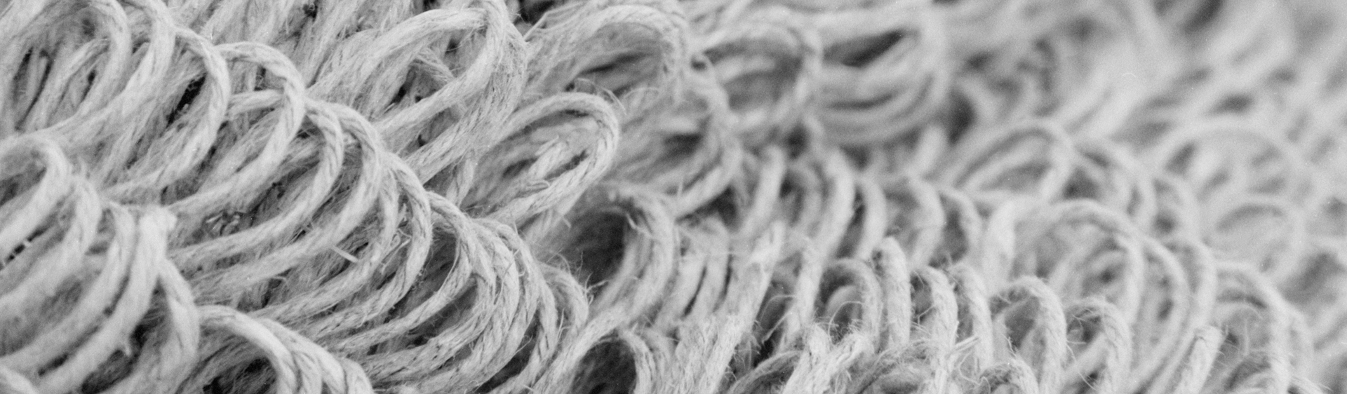 Muszi Vivien / Fotográfia alapszak