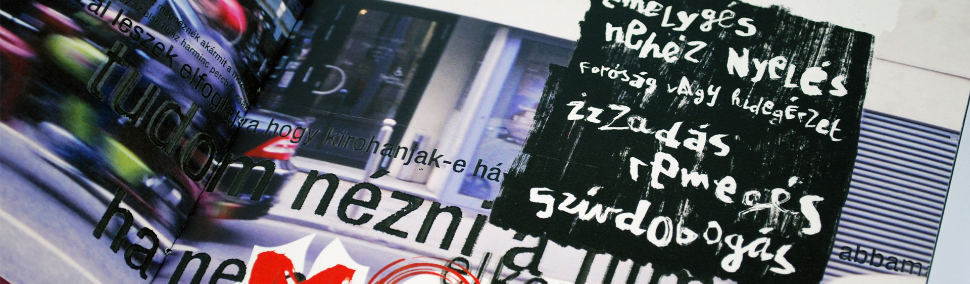 Zsemberi-Szígyártó Miklós / Tervezőgrafika mesterszak