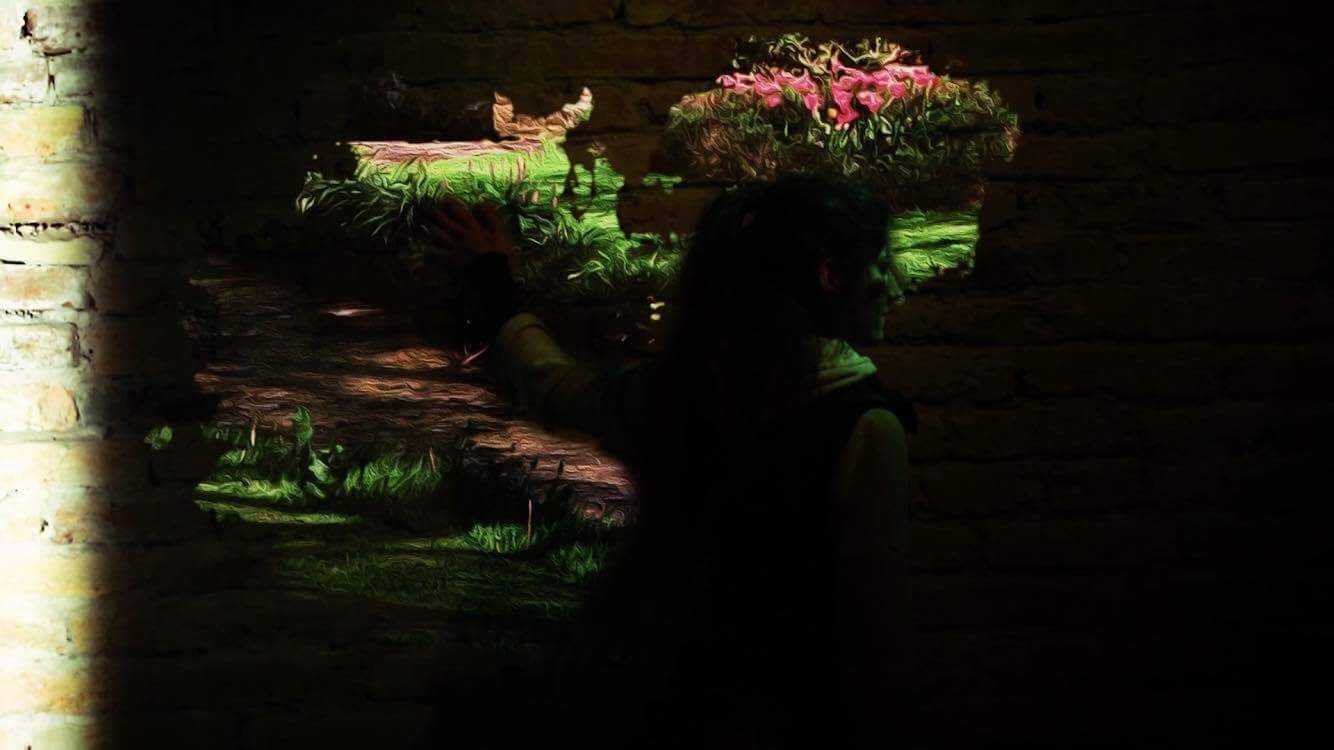 Hegyesi Fanni / Mozgóképkultúra és médiaismeret alapszak